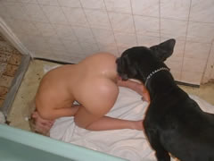 dog sex in the bathroom