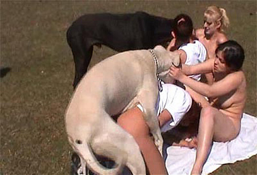 Group Sex With Dog