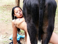 Teen sex with a cow