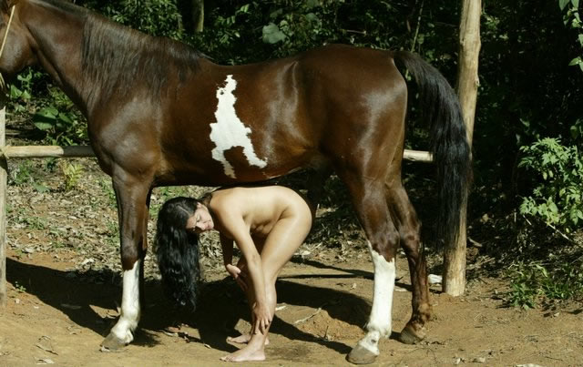 Mega Zoo Funs ::. This young Brazilian girl loves a fat horse dick