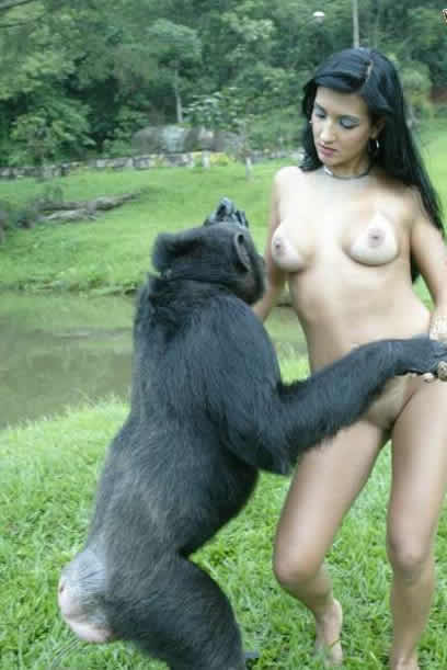 Chimpanzee Sex - Mega Zoo Funs ::. Sex with a chimpanzee is a new sexual experience