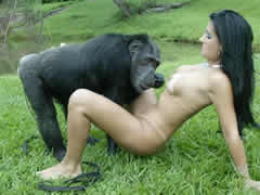 Sex with a chimpanzee