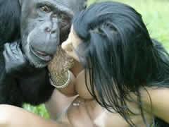 Sex with a chimpanzee