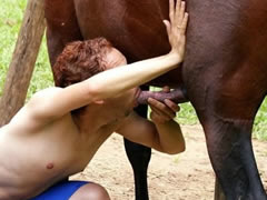 Gay sex with a horse