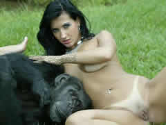 sex with a chimpanzee