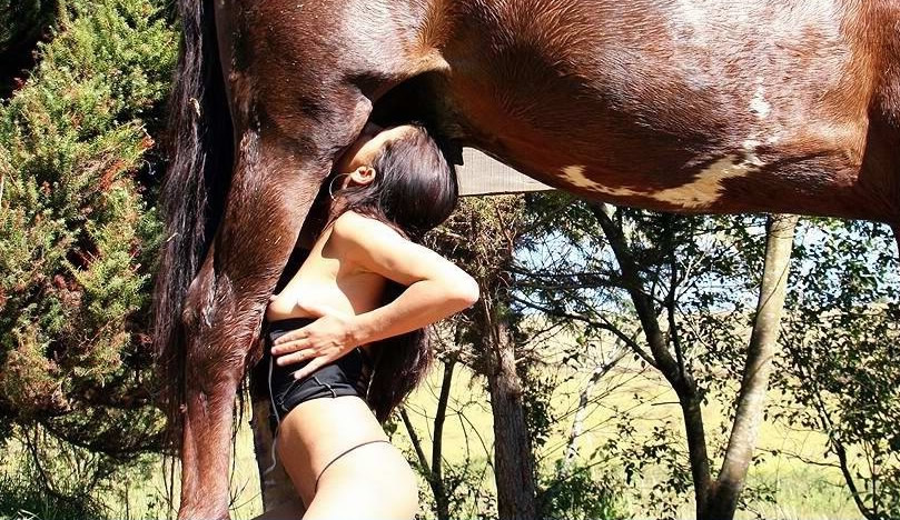 Women Getting Fucked By Horse