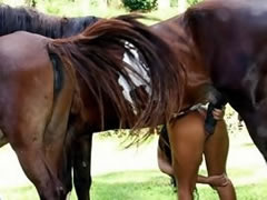 Animalloving sexy babe with horse