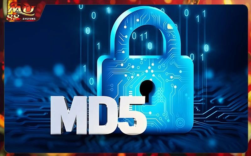 Thuật Toán MD5 Tài Xỉu | Ưu Điểm Khiến Bet Thủ Săn Đón